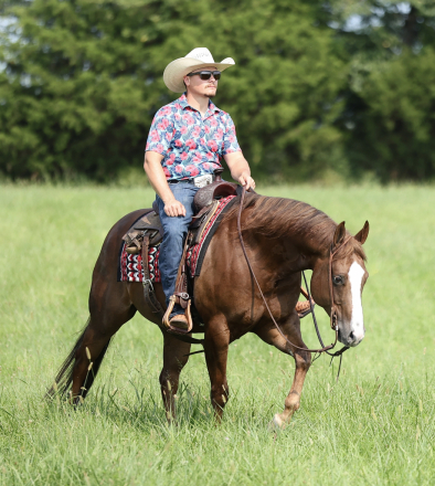 HorseID: 2249911 Joe The Whoa - PhotoID: 1089899