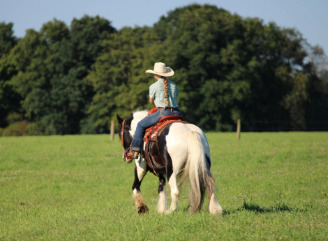 HorseID: 2253894 Irish - PhotoID: 1042231