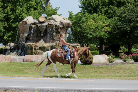HorseID: 2260687 BB DOUBLE SOX - PhotoID: 1045920