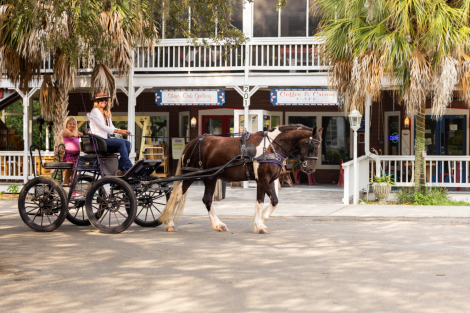 HorseID: 2260689 Cassanova - PhotoID: 1028026