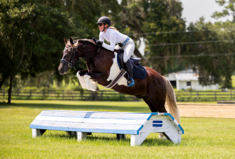 HorseID: 2260689 Cassanova - PhotoID: 1028027