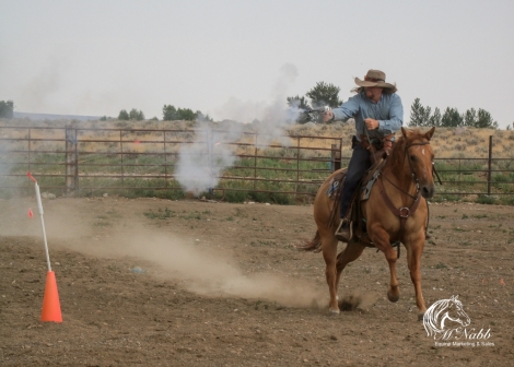 HorseID: 2262624 Crossv Cats Domino - PhotoID: 1032129
