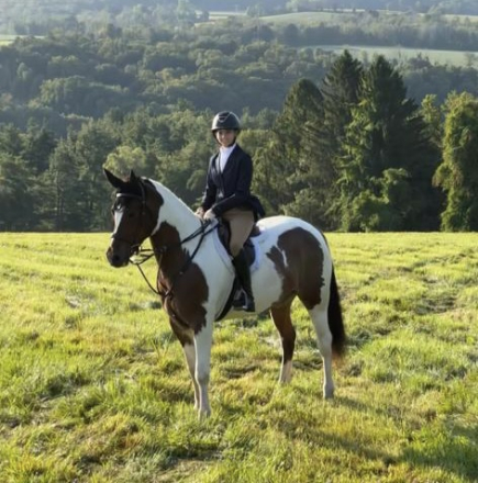 HorseID: 2262650 Badger - PhotoID: 1104676