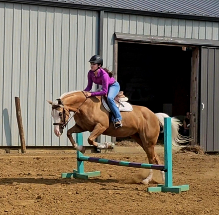 HorseID: 2265021 Apache Smoking Gun - PhotoID: 1034262