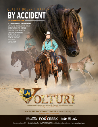 HorseID: 2279235 Volturi - PhotoID: 1053414