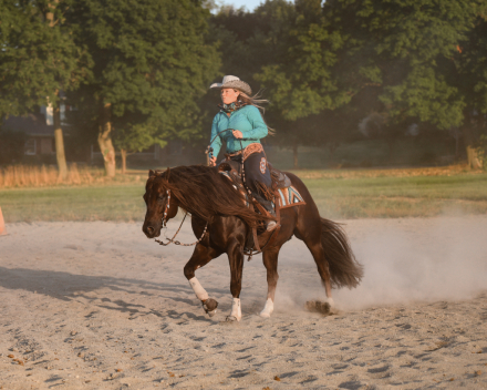 HorseID: 2279235 Volturi - PhotoID: 1053417