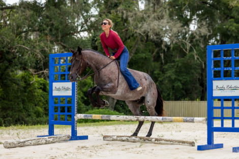HorseID: 2280897 Leo’s Legacy Blue - PhotoID: 1089901