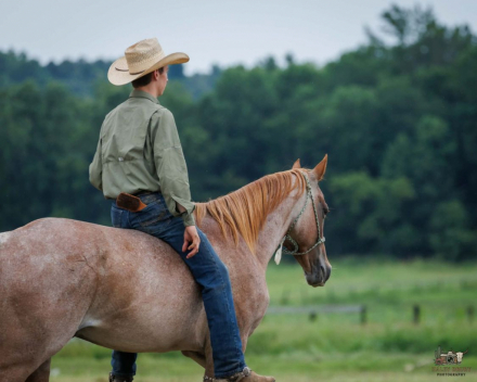 HorseID: 2280899 Rusty - PhotoID: 1055723