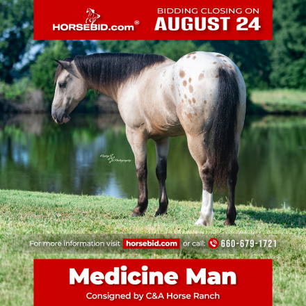 HorseID: 2280903 Medicine Man - PhotoID: 1055696