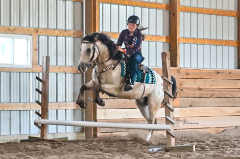 HorseID: 2280903 Medicine Man - PhotoID: 1055698