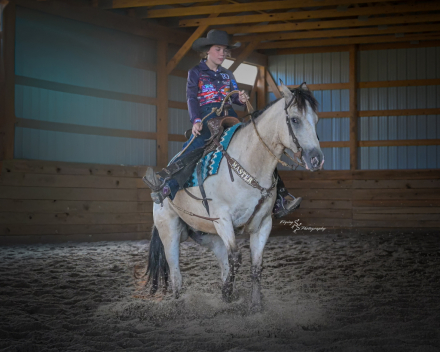 HorseID: 2280903 Medicine Man - PhotoID: 1055699