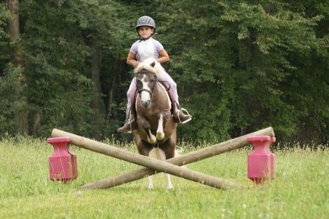 HorseID: 2280904 Mecom Royal Sandman - PhotoID: 1055718