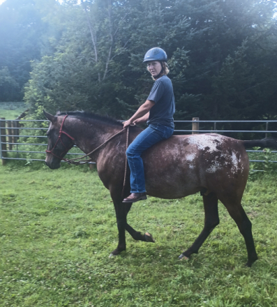 HorseID: 2285112 DSK Northern Legacy - PhotoID: 1081987