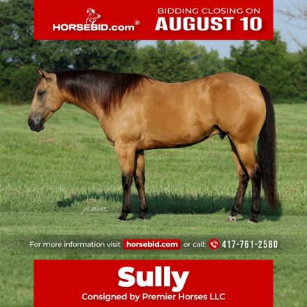 HorseID: 2287438 JA Frostem Oakwood - PhotoID: 1064614