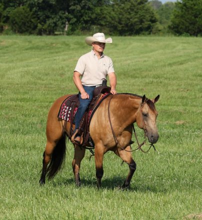 HorseID: 2287438 JA Frostem Oakwood - PhotoID: 1064617