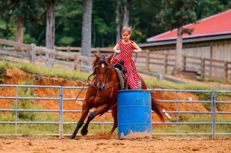 HorseID: 2287439 Redered Cinnamon Gem - PhotoID: 1064620