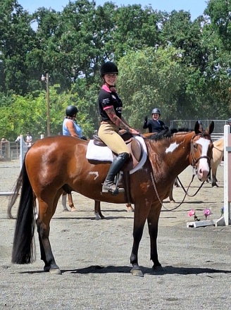 HorseID: 2292029 Rio Hot N Reddy - PhotoID: 1070646