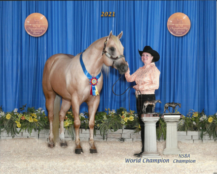 HorseID: 2292181 Mr Be Sumthin Sexy - PhotoID: 1082315