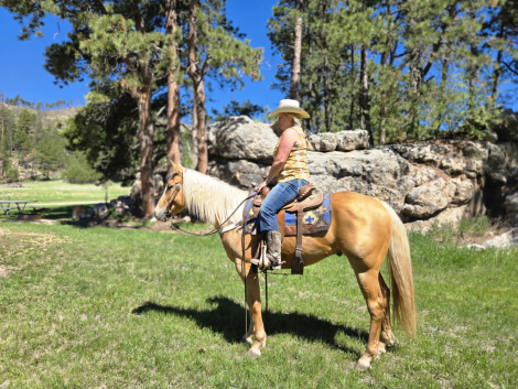 HorseID: 2292854 Flashbac Peppy - PhotoID: 1082511