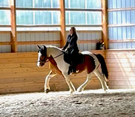 HorseID: 2293848 Elvis Presley - PhotoID: 1073025