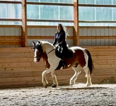 HorseID: 2293848 Elvis Presley - PhotoID: 1081315