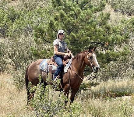 HorseID: 2295960 Hydrives Quixote Rio - PhotoID: 1076005