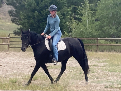 HorseID: 2296322 JMF Rock On - PhotoID: 1081619