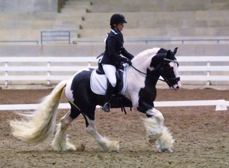 HorseID: 2297948 Seneca - PhotoID: 1104139