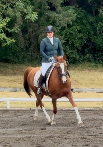 HorseID: 2299068 VG Angelic Melody - PhotoID: 1080105