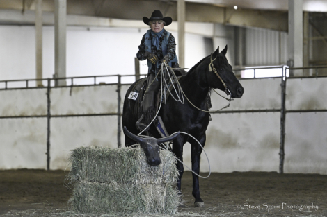 HorseID: 2299640 Ima Spotless Hunter - PhotoID: 1080914