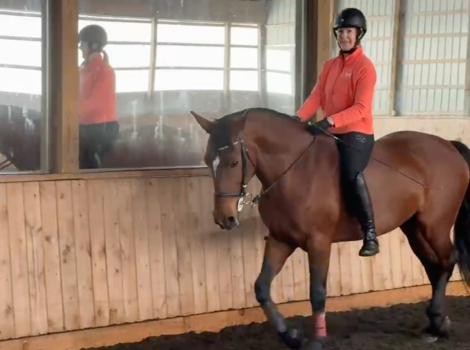 HorseID: 2299660 Epiphany Bay Liatrus - PhotoID: 1081401