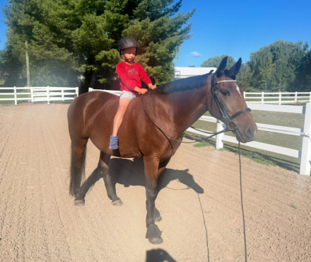 HorseID: 2299660 Epiphany Bay Liatrus - PhotoID: 1081403