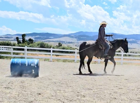 HorseID: 2299788 Hancocks Misty Blue - PhotoID: 1081130