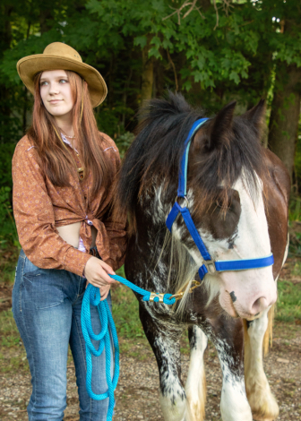 HorseID: 2299818 Celtic Cross Bolero - PhotoID: 1081161