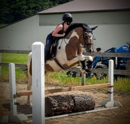 HorseID: 2299842 Johnny Be Goode - PhotoID: 1081182