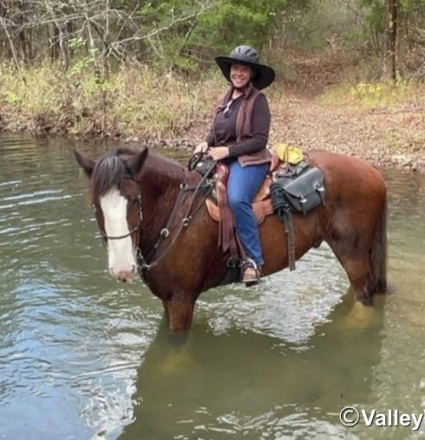 HorseID: 2299988 Merlin Tir Na Nog Mad Dog Mattis - PhotoID: 1081350