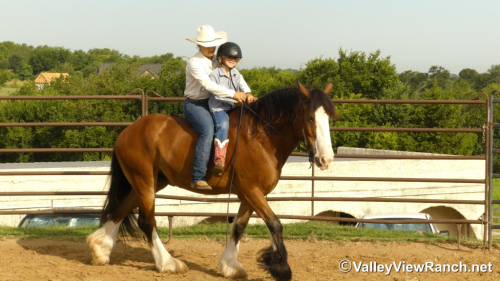 HorseID: 2299988 Merlin Tir Na Nog Mad Dog Mattis - PhotoID: 1081352