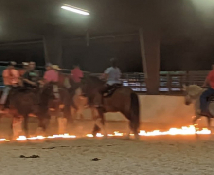 HorseID: 2299988 Merlin Tir Na Nog Mad Dog Mattis - PhotoID: 1081354