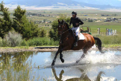 HorseID: 2300032 Bronson PW - PhotoID: 1081432