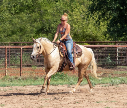 HorseID: 2300047 Ima Blonde Chex - PhotoID: 1081446
