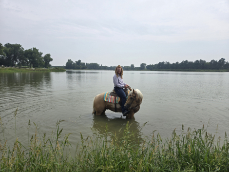 HorseID: 2300048 RWS FROSTED GOLD - PhotoID: 1081453