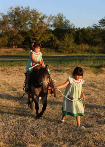 HorseID: 2300157 KUZCO - PhotoID: 1098380
