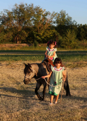 HorseID: 2300157 KUZCO - PhotoID: 1098381