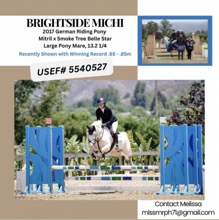 HorseID: 2300169 Briteside Michi - PhotoID: 1081592