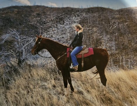 HorseID: 2300171 Supercalifragilistic - PhotoID: 1081597