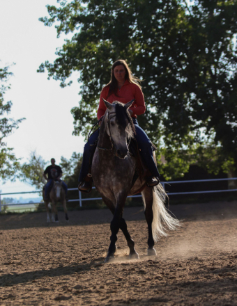 HorseID: 2300250 Xateo SMDR - PhotoID: 1081724