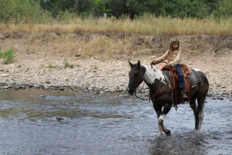 HorseID: 2300282 ROLEXS DRUMMER GIRL - PhotoID: 1081762