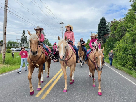 HorseID: 2300310 SON OF A PROSECUTOR - PhotoID: 1081780