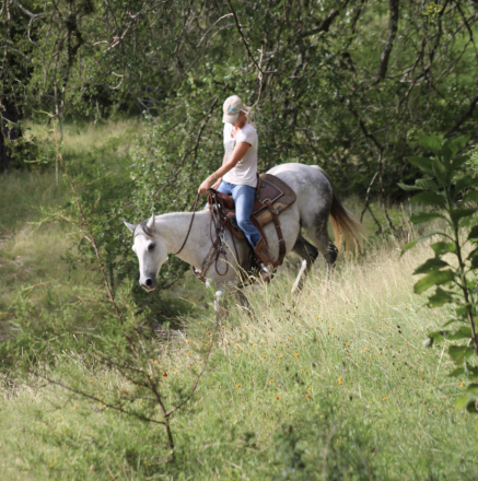 HorseID: 2300380 JK PACKIN A PISTOL - PhotoID: 1081845