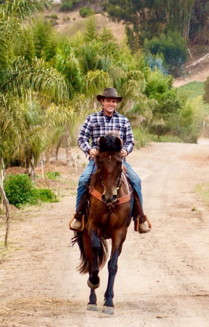 HorseID: 2300388 Bandita - PhotoID: 1081862